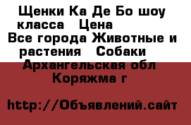 Щенки Ка Де Бо шоу класса › Цена ­ 60 000 - Все города Животные и растения » Собаки   . Архангельская обл.,Коряжма г.